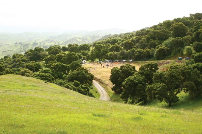 popelouchum-pinot-planting-v2