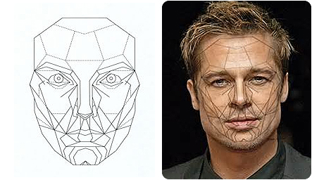 golden-ratio-brad-pitt